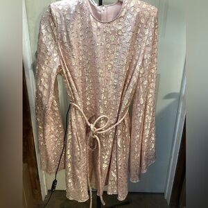 Stella McCartney Blush and Gold Lace Midi Dress